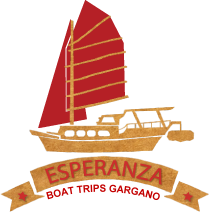 Logo Boat Trips Gargano